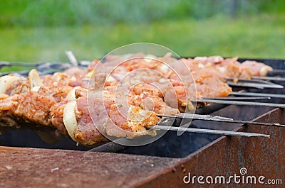 Kebabs cooking over a hot barbecue fire Stock Photo