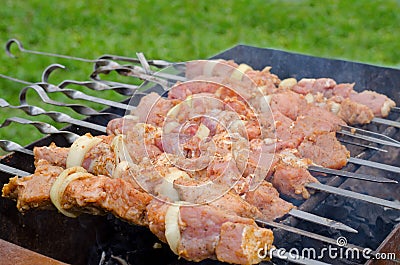 Kebabs cooking over a hot barbecue fire Stock Photo