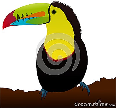 Keel-billed Toucan, Sulfur-breasted toucan, Rainbow-billed toucan isolated vector Vector Illustration