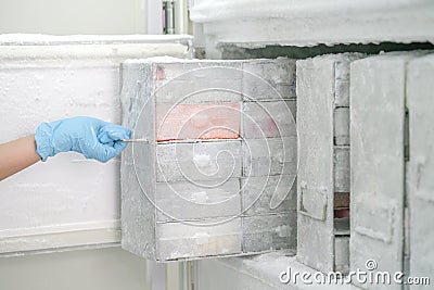 Keep isolated pathogen in ultra low temperature Stock Photo
