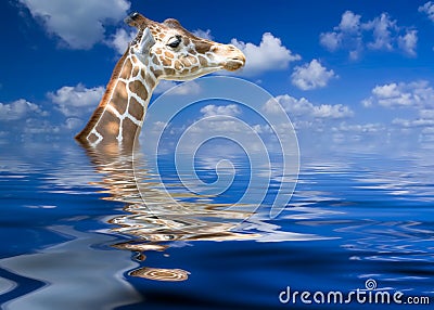 Keeping His Head Above Water Stock Photo
