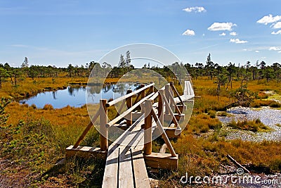 Kemeri National park. Stock Photo