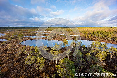 Kemeri swamp landscape Stock Photo