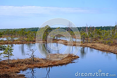 Kemeru swamp, national park with blue lake and trees, and bushes in Latvia with wooden pathway between water, Europe Stock Photo