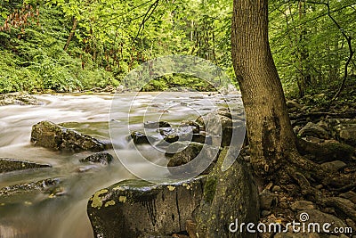 Ken Lockwood Gorge Park in New Jersey Stock Photo