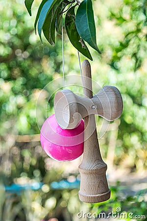 Kendama Pink Stock Photo