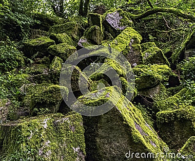 Kennall river in Kennall Vale Nature Reserve, Ponsanooth, Cornwall, UK Stock Photo