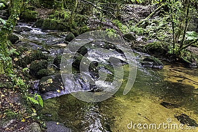 Kennall river in Kennall Vale Nature Reserve, Ponsanooth, Cornwall, UK Stock Photo