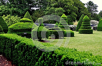 Kennett Square, PA: Longwood Gardens Topiary Trees Editorial Stock Photo