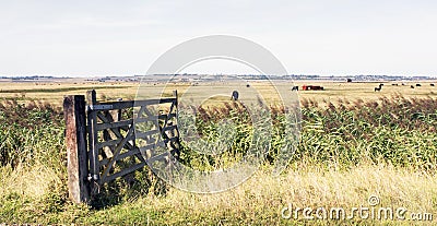 Kent countryside uk sheppey Stock Photo