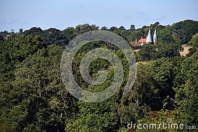 Kent oast Stock Photo