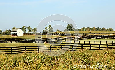 Kentucky Horse Park Stock Photo