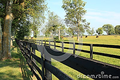 Kentucky Horse Ranch Stock Photo