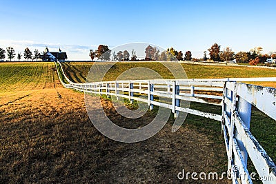 Kentucky Thoroughbred Horse Farm Stock Photo
