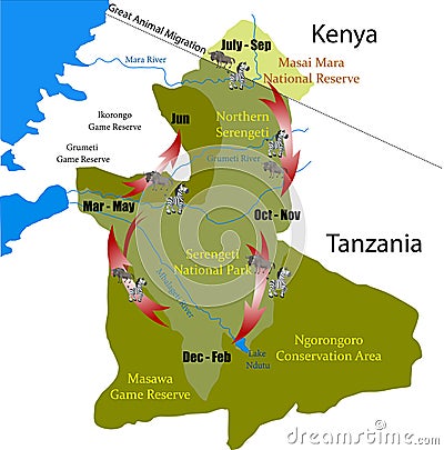 Kenya Tanzania Great animal Migration vector Stock Photo