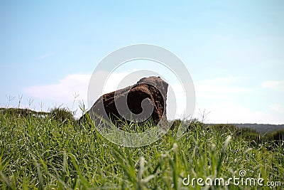 Kenyan Landscape Nature Fields Meadows In Kenya East African Stock Photo