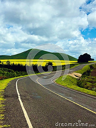 Kenyan Landscapes Canola Rapeseed Vegetable Oil Farming Timau Meru Nanyuki Highway Kenya East Africa Stock Photo