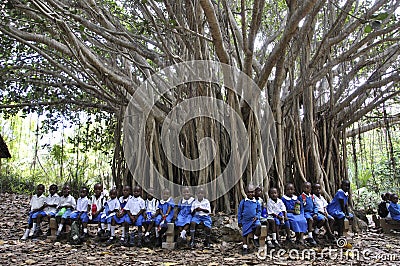 Kenyan school children under a huge tree in Haller Park Editorial Stock Photo