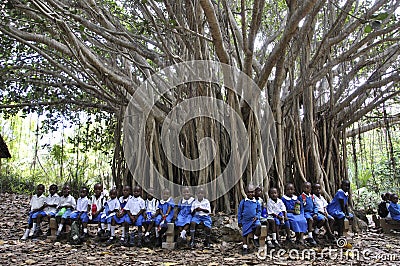 Kenyan school children under a huge tree in Haller Park in Mombasa Editorial Stock Photo