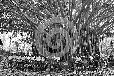 Kenyan school-children under a huge tree in Haller Park in Mombasa, where a swiss renatured calc-hills and wholes into a animal Editorial Stock Photo