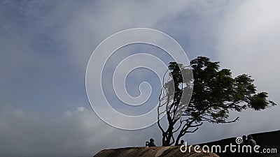 Kerala flood period on which heavy winds pulled down many trees Editorial Stock Photo