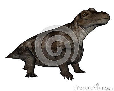 Keratocephalus dinosaur - 3D render Stock Photo