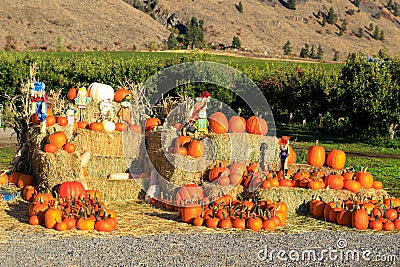 Keremeos Fruit Stand Pumpking Patch Farmers Market Editorial Stock Photo