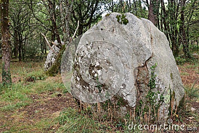 Kerjean alignments - megalithic monument in Brittany Stock Photo