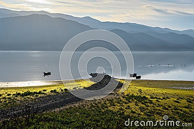 Kerkini Lake in Greece Stock Photo