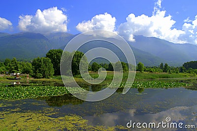 Kerkini lake shore,Greece Stock Photo