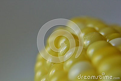 Kernel of corn Stock Photo