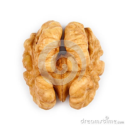 Kernel walnut isolated Stock Photo