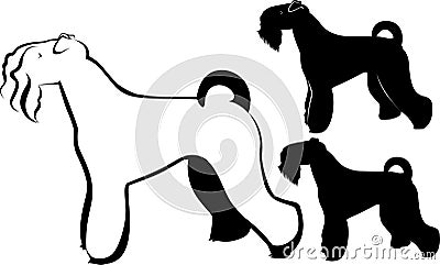 Kerry Blue Terrier. terrier dog Vector Illustration