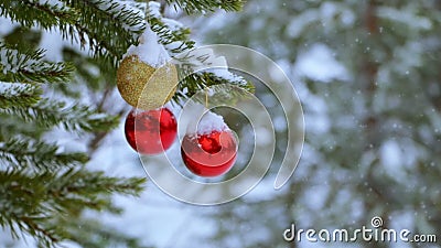 Kerstmisballen op de Boom in het Bos en de Sneeuwval Kerstmisballen op de Boom in het Bos en de Sneeuwval
