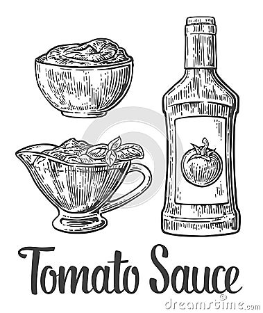 Ketchup bottle, tomato sauce in a plate. Vector vintage engraved illustration Vector Illustration