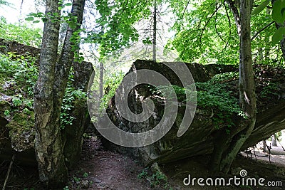 Bormann's bunker at the Wolf's Lair (Wilczy Szaniec, Wolfsschanze) Editorial Stock Photo