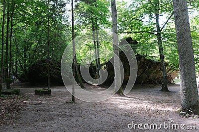 Bormann's bunker at the Wolf's Lair (Wilczy Szaniec, Wolfsschanze) Editorial Stock Photo