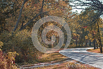 Kettle Moraine State Forest Stock Photo