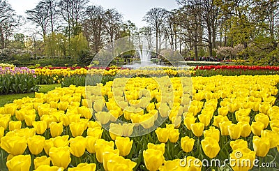 Keukemhof Blooming Gardens Landscape Lisse Holland Stock Photo