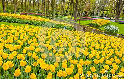 Keukemhof Romantic Blooming Gardens Landscape Holland Stock Photo