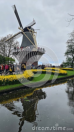 Beautiful spring landscape, famous Keukenhof garden with colorful fresh tulips Editorial Stock Photo