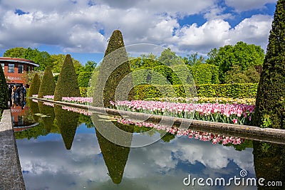 Keukenhof, The Netherlands Stock Photo