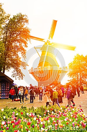 Keukenhof, Netherlands - Colorful tulips with windmill in the background and tourists walking in the gardens. Taken against orange Editorial Stock Photo