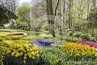 Keukenhof overview in springtime landscape_IMG_9495 Stock Photo