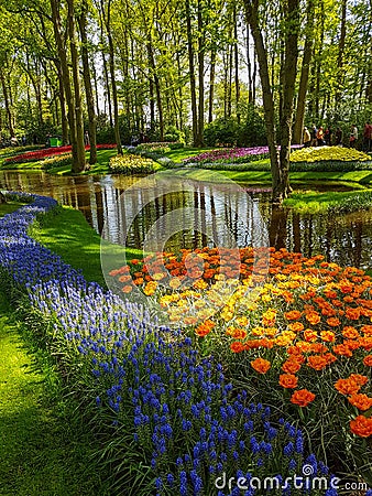 Keukenhof tulips april 2019 Editorial Stock Photo