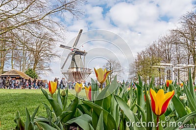 Keukenhof tulips, windmill and visiters Editorial Stock Photo
