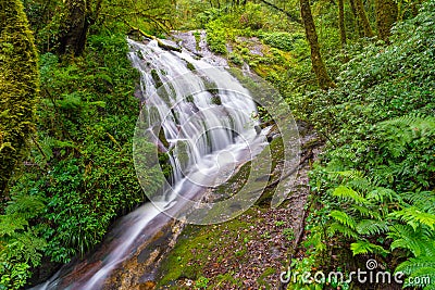 Kew Mae Pan waterfall, Inthanon mountain Stock Photo