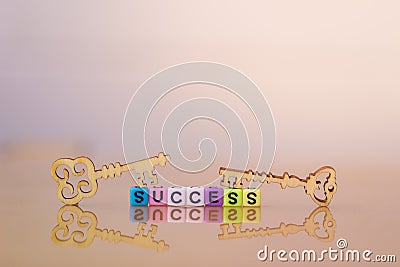 Key to success. Wood Key. Stock Photo