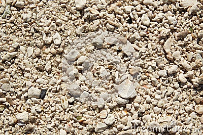 Key West beach shells sand detail in Florida Stock Photo