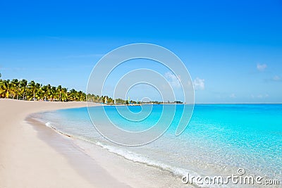 Key west florida Smathers beach palm trees US Stock Photo